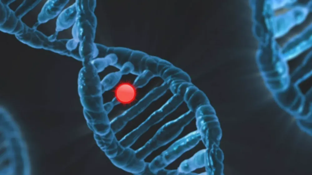 İLK DNA TESTİ LABORATUVARI AÇILDI