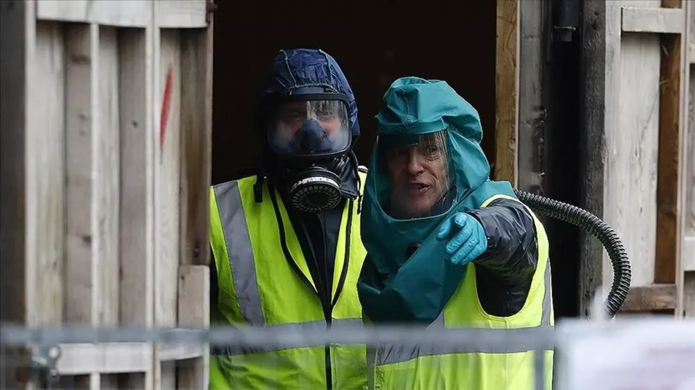 KUŞ GRİBİ ALMANYANIN TAMAMINA YAYILDI