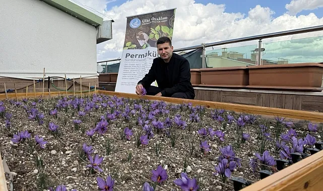 ÜLKÜ OCAKLARI GENEL MERKEZİ