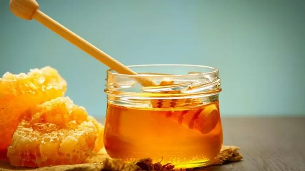 BAKANLIK SAHTE BAL ÜRETENLERİ İFŞA ETTİ