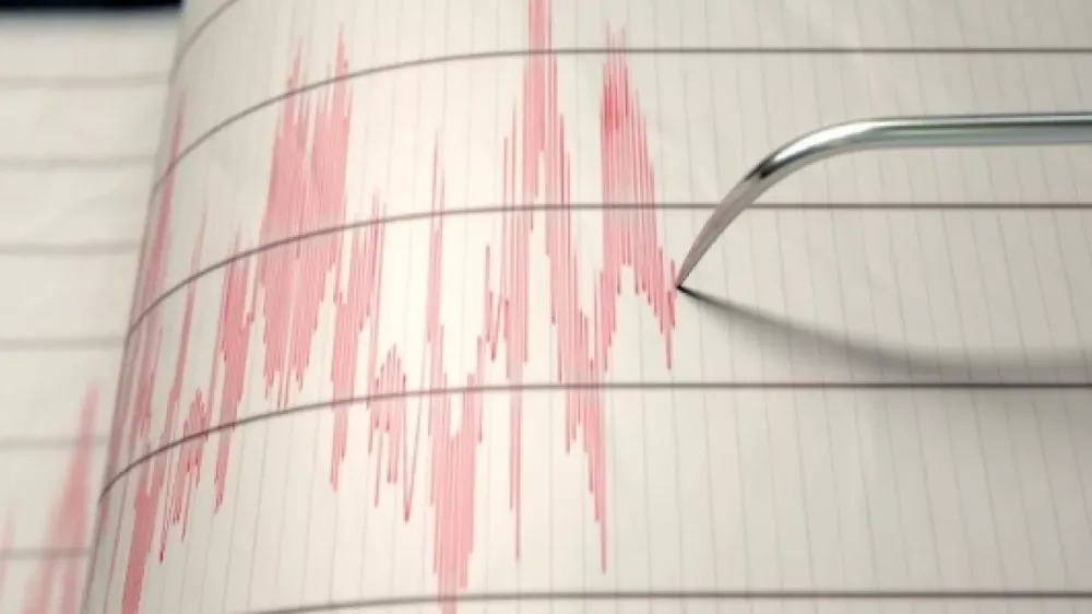 GÜMÜŞHANE SABAHA DEPREM İLE UYANDI