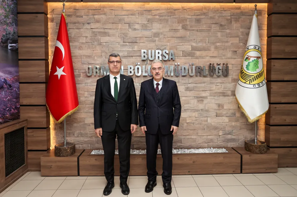 VALİ AYYILDIZ