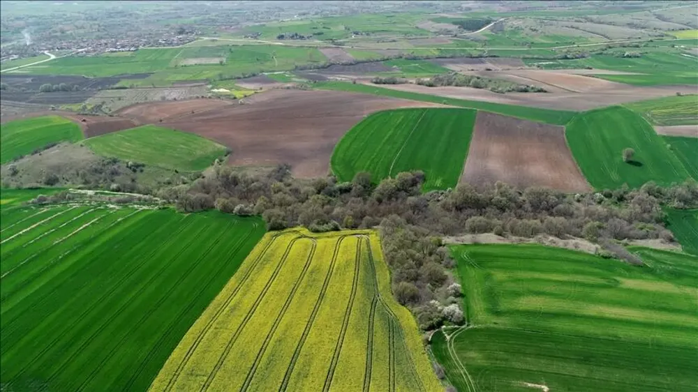 MİLYONLUK HAZİNE ARAZİLERİ SATIŞA ÇIKARILDI