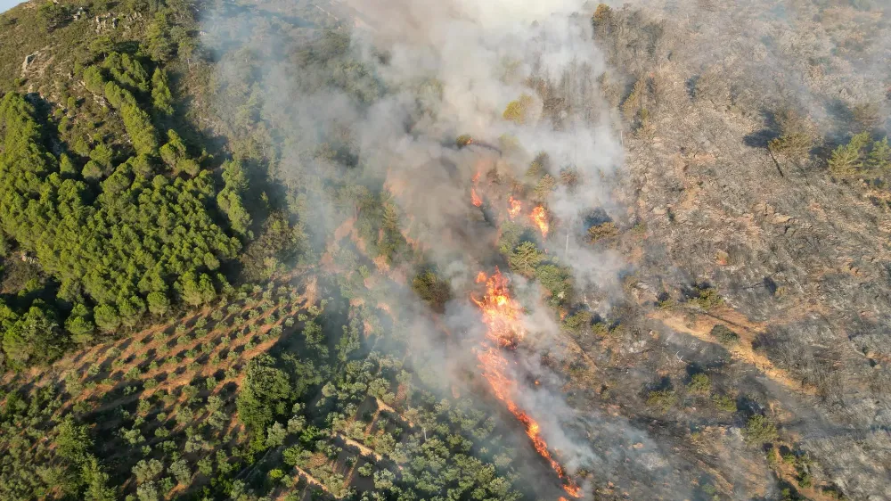 Antalya, Gazipaşa