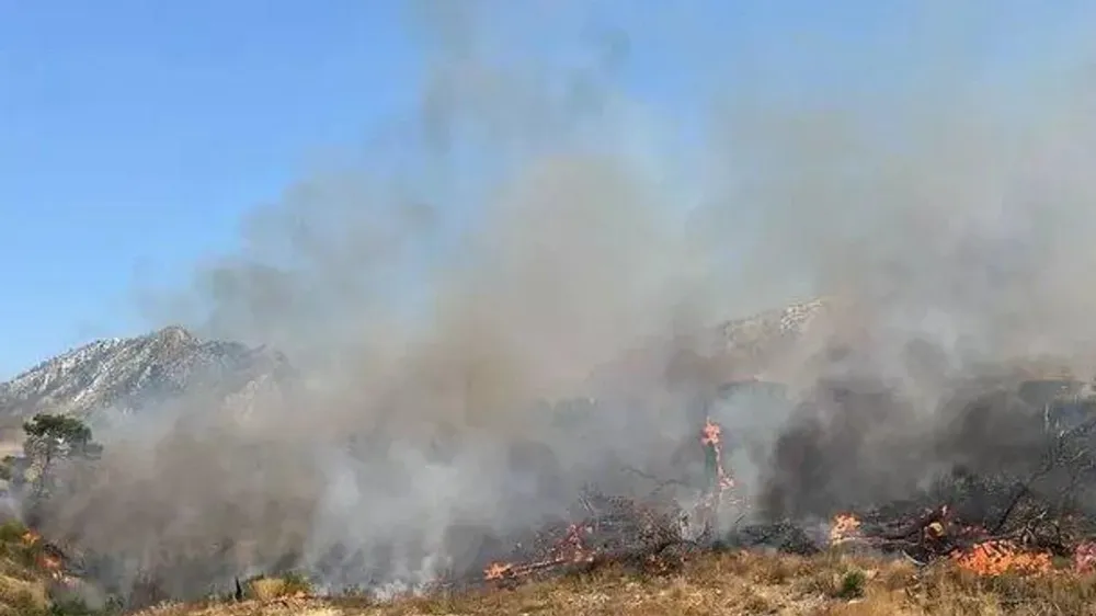 ŞIRNAK BESTLER DERELER BÖLGESİNDE ORMAN VE ÖRTÜ YANGINI 