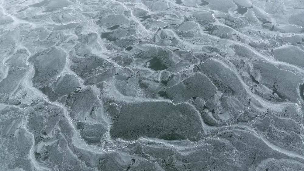 BUZUN ELEKTRİK ÜRETEBİLDİĞİ ORTAYA ÇIKTI